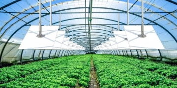 大棚冬季如何采暖，兩種石墨烯電(diàn)熱膜采暖方案