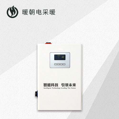 電(diàn)壁挂采暖爐