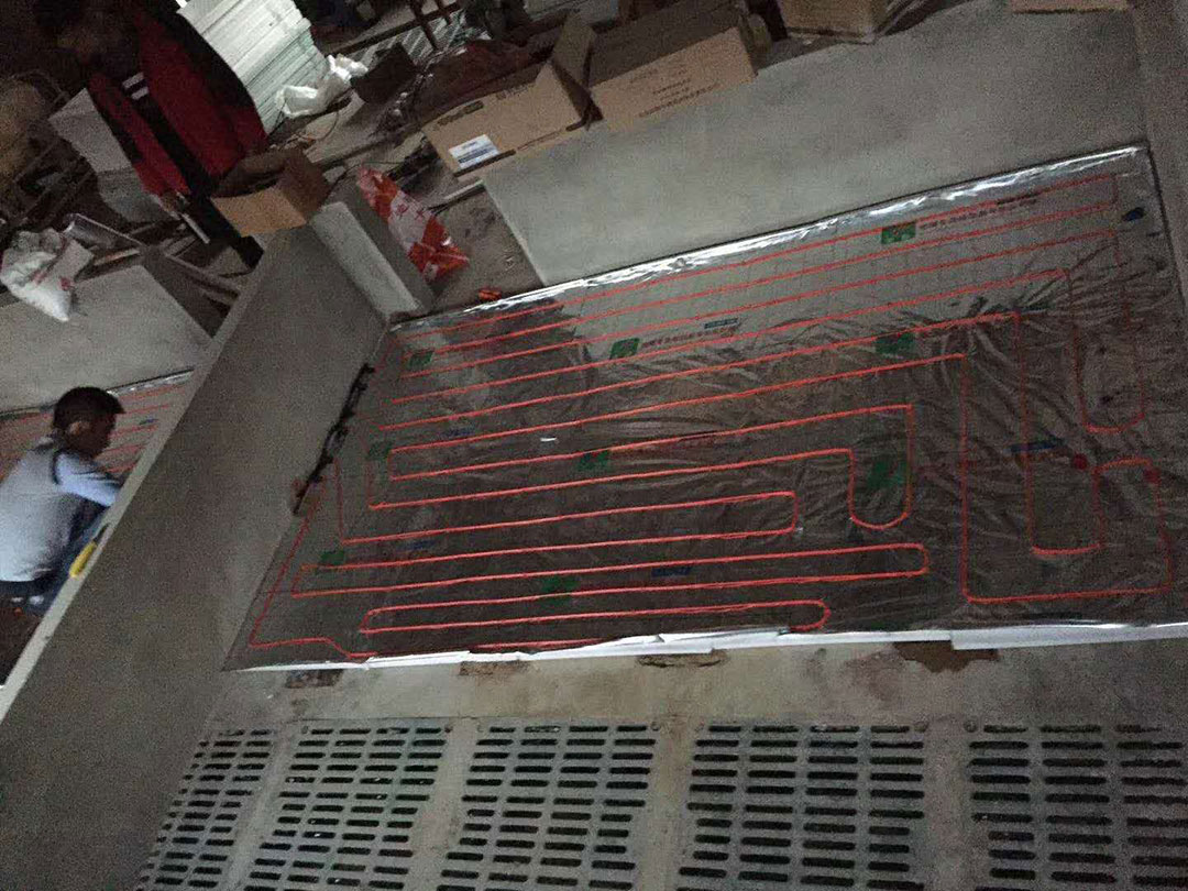 豬舍電(diàn)地暖施工(gōng).jpg