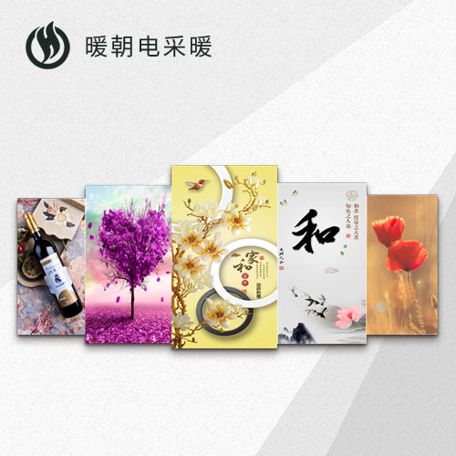 碳纖維電(diàn)暖畫